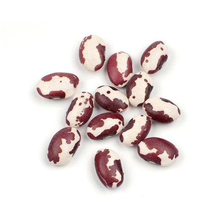 WOODLAND FOODS Woodland Foods 003451 10 lbs Anasazi Beans 3451